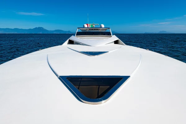M/Y WHITE AND SILVER
